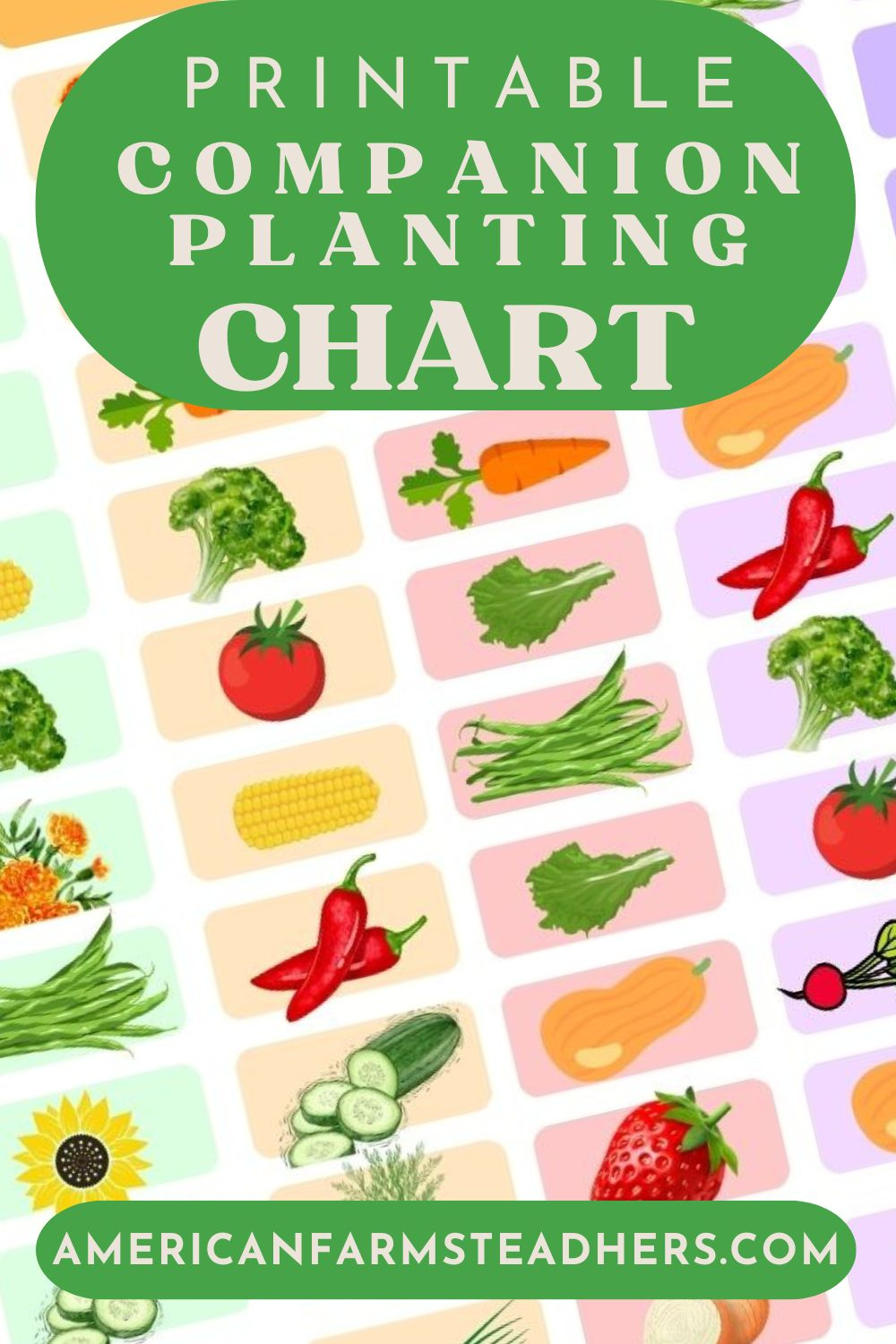 🥕 Free Printable Companion Planting Chart 🍅 inside Free Printable Companion Planting Chart