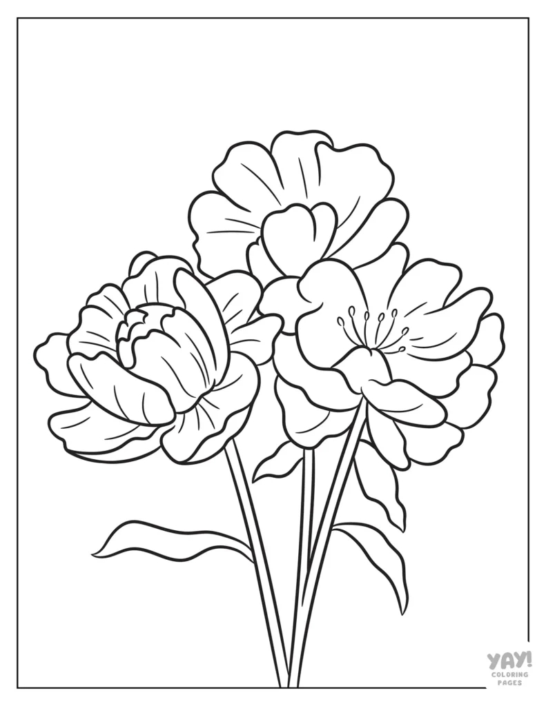 Flower Coloring Pages (Free Printables) in Free Printable Pictures of Flowers