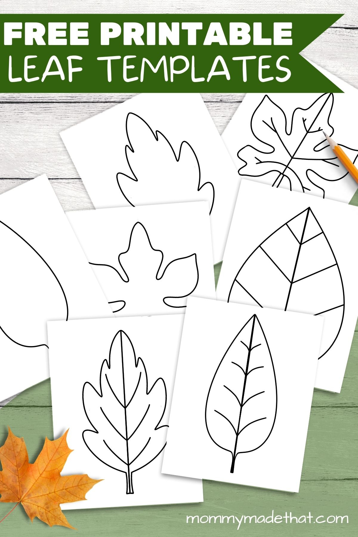 Free Leaf Templates & Outlines: Tons Of Printables!! inside Free Printable Pictures Of Leaves