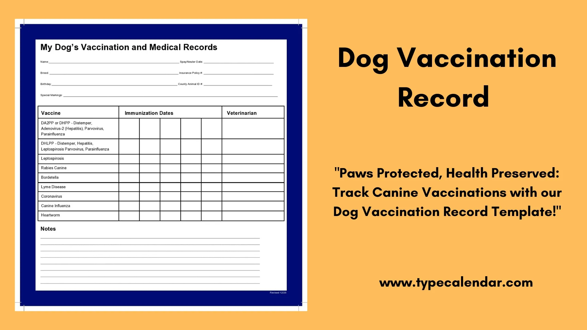 Free Printable Dog Vaccination Record Template: Keep Your Pet'S with Free Printable Pet Vaccination Record