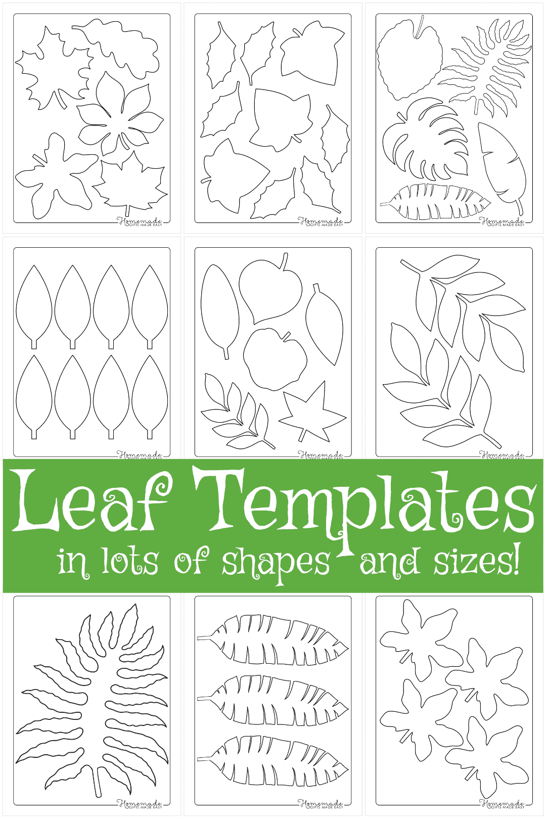 Leaf Template | Free Printable Leaf Outlines For Kids with Free Printable Pictures of Leaves